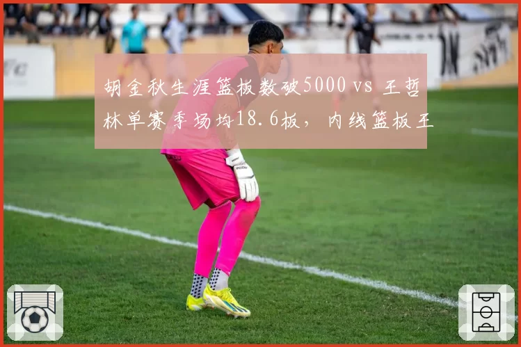 胡金秋生涯篮板数破5000 vs 王哲林单赛季场均18.6板,内线篮板王之争